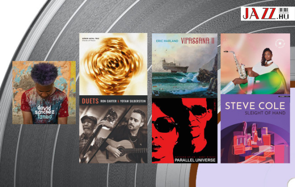 KORONGoz&oacute; - 24. h&eacute;t (j&uacute;nius)