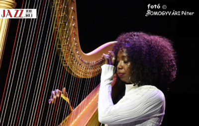 A H&Aacute;RFA OTTHONRA LELT